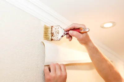 Pose de papier peint à Vellemoz — revêtements muraux et toiles de verre